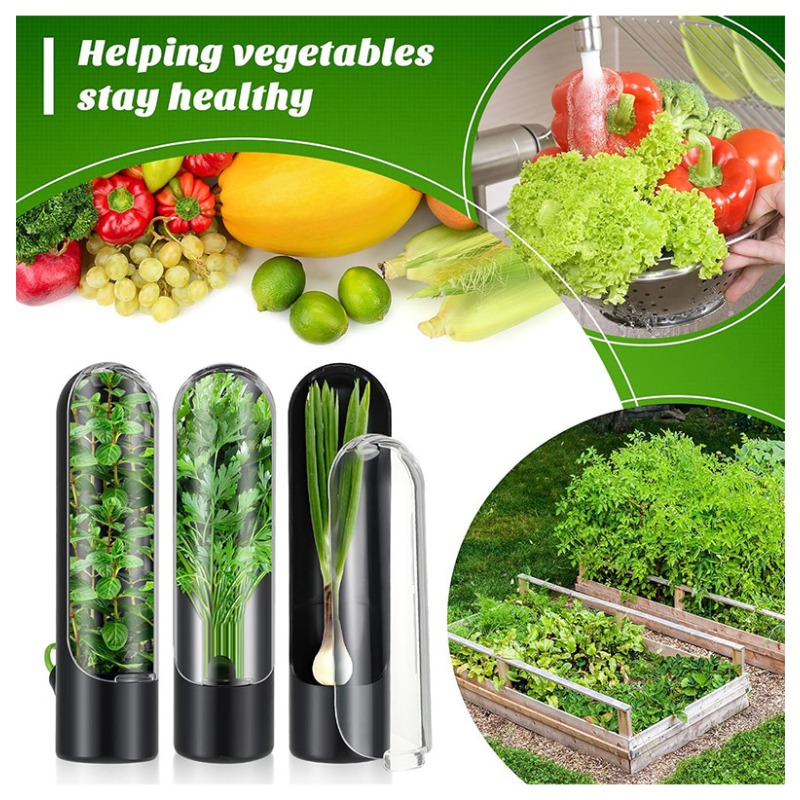 Herb Keeper Bottle - 1/2/3 Peças Recipiente de Armazenamento para