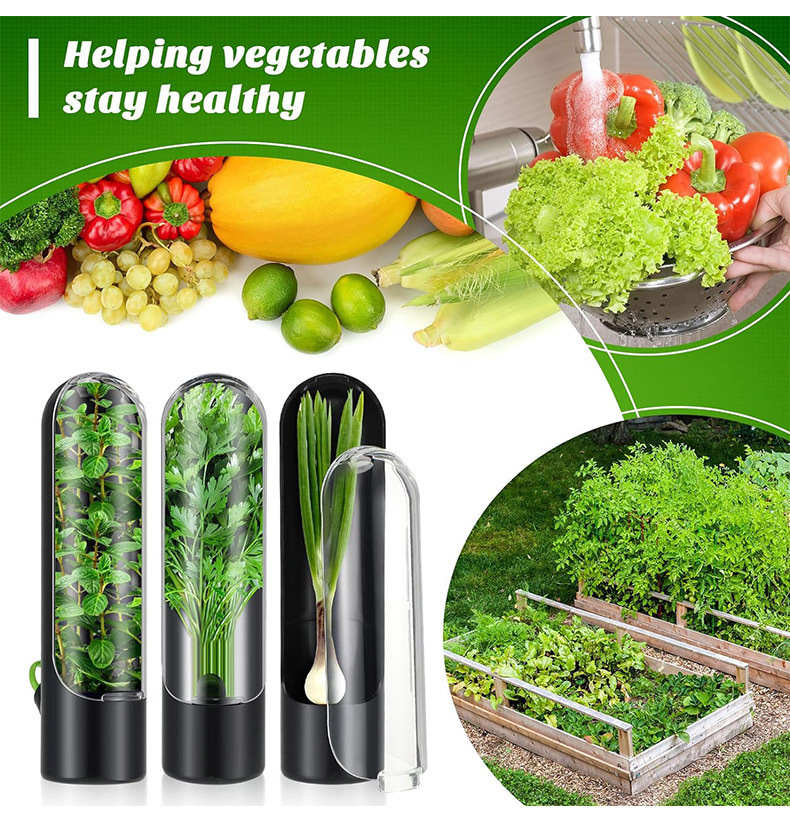 Garrafa de preservação de legu - Herb Keeper Bottle avaliação e preço